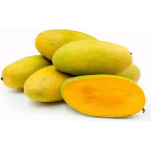 Dhaseri