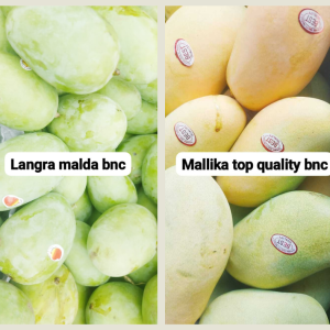 Mallika and Langra