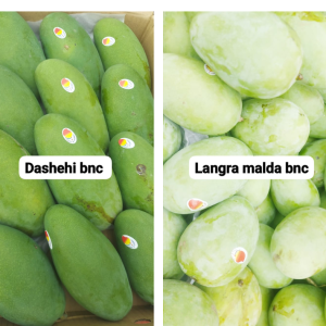 Naturally ripened mangoes Bangalore