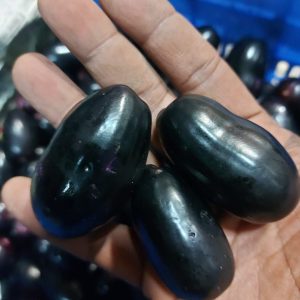 Kala Jamun