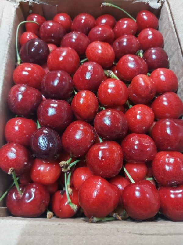 Fresh Cherries